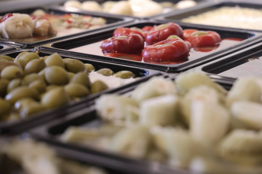 4 bin yıllık doğal salgın savaşçısı 3