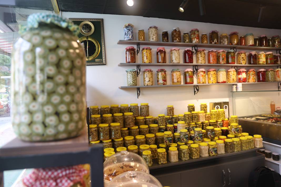 4 bin yıllık doğal salgın savaşçısı 4