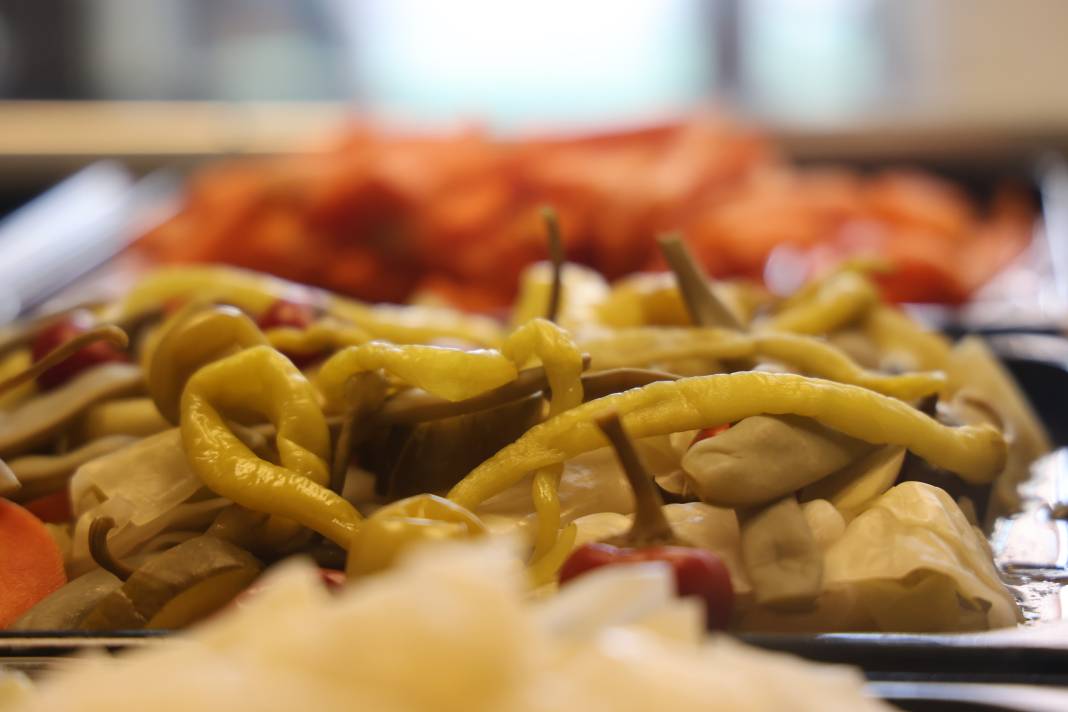 4 bin yıllık doğal salgın savaşçısı 6