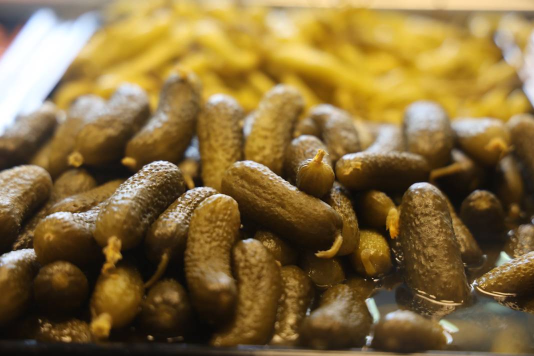 4 bin yıllık doğal salgın savaşçısı 7