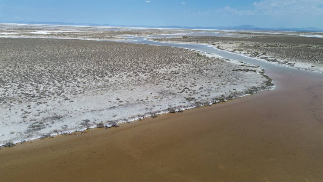 Tuz Gölü'ndeki kuraklık biyolojik çeşitliliği de etkiliyor 1
