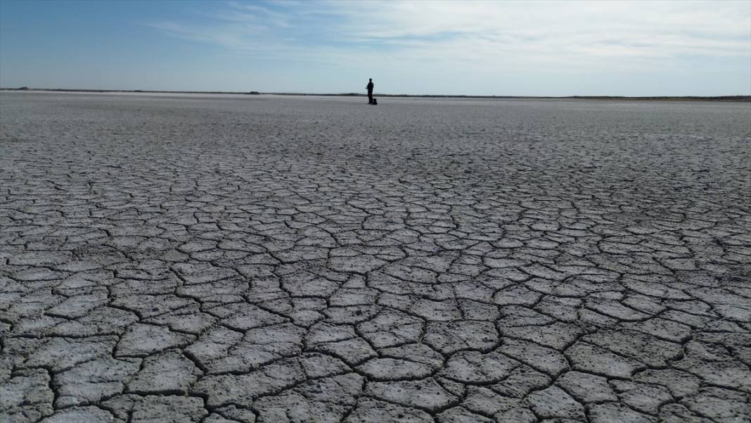 Tuz Gölü'ndeki kuraklık biyolojik çeşitliliği de etkiliyor 10
