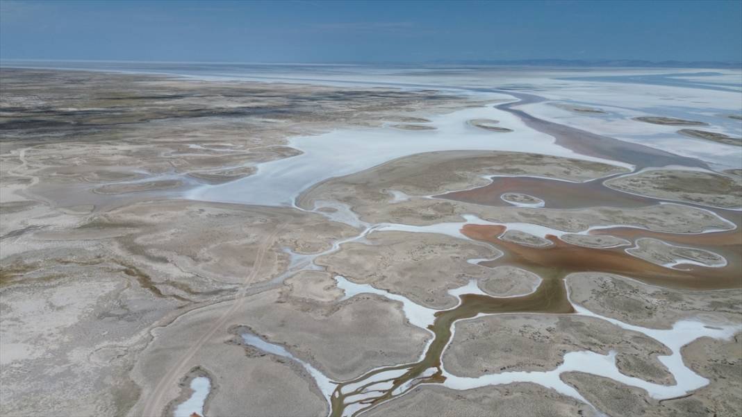 Tuz Gölü'ndeki kuraklık biyolojik çeşitliliği de etkiliyor 12