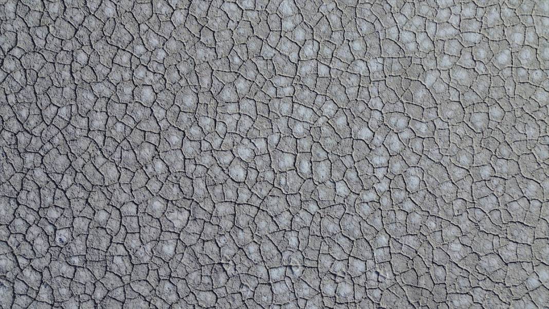 Tuz Gölü'ndeki kuraklık biyolojik çeşitliliği de etkiliyor 13