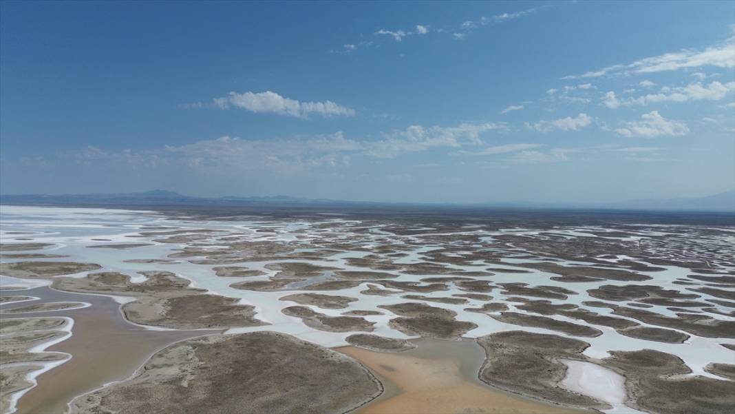 Tuz Gölü'ndeki kuraklık biyolojik çeşitliliği de etkiliyor 14