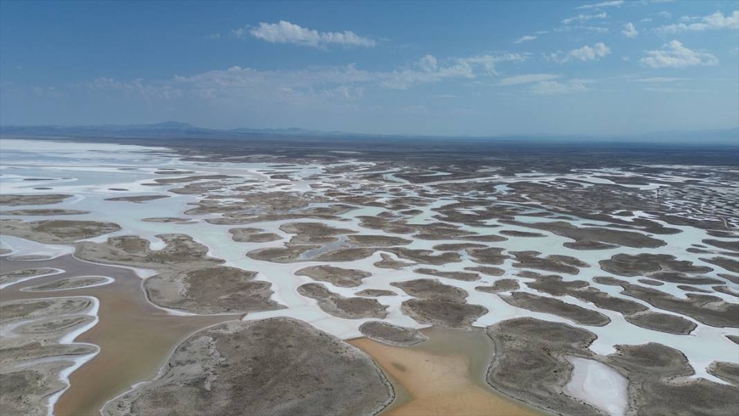 Tuz Gölü'ndeki kuraklık biyolojik çeşitliliği de etkiliyor 15