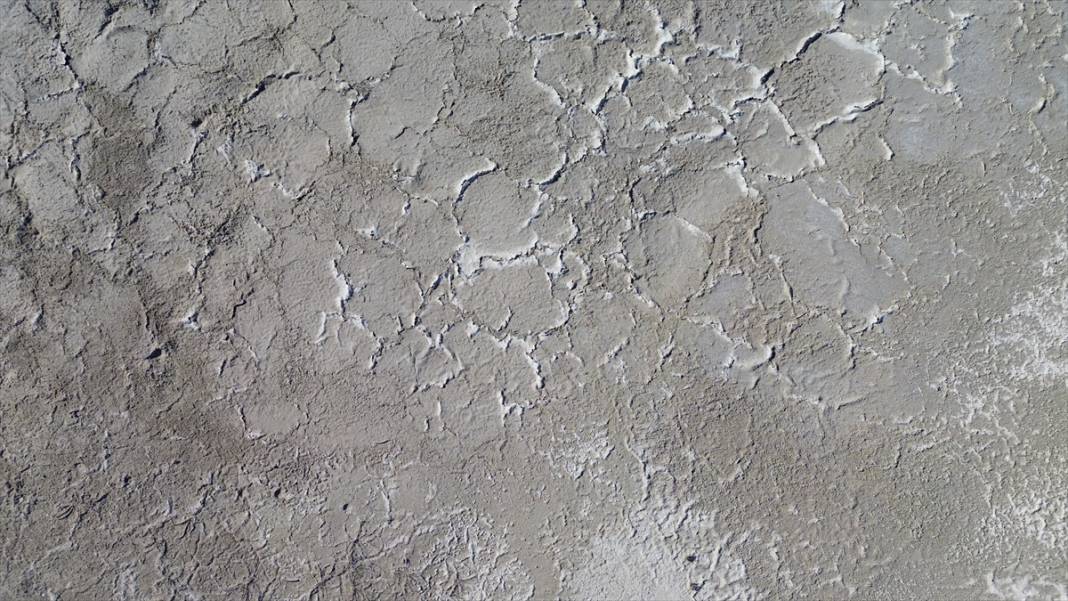 Tuz Gölü'ndeki kuraklık biyolojik çeşitliliği de etkiliyor 18