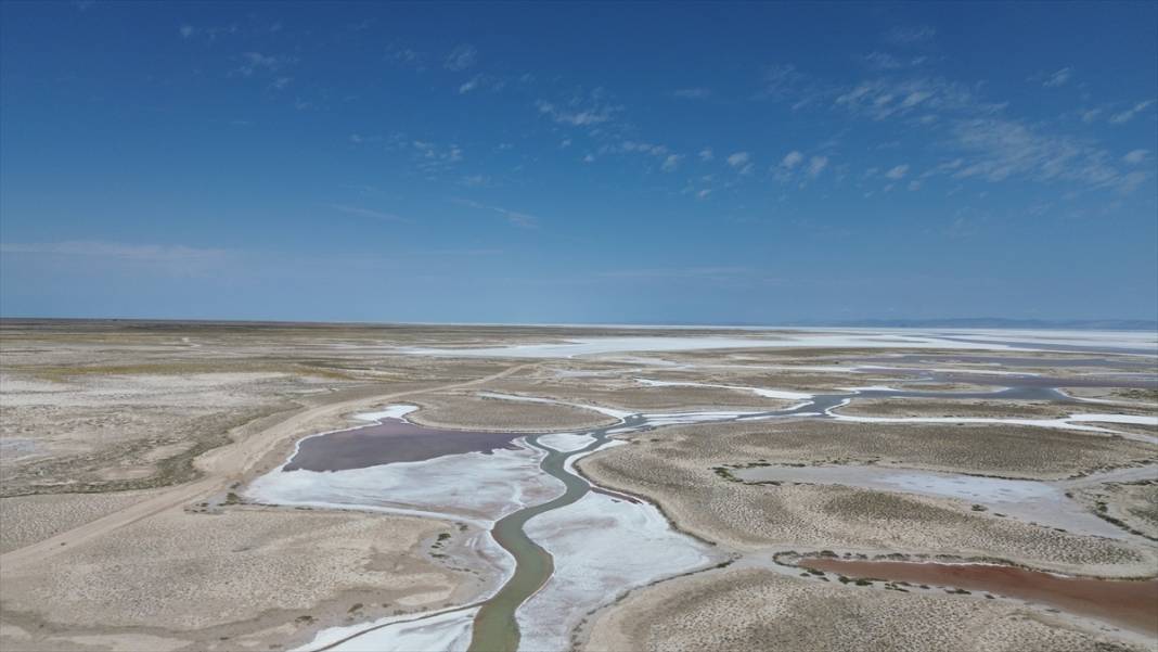 Tuz Gölü'ndeki kuraklık biyolojik çeşitliliği de etkiliyor 19