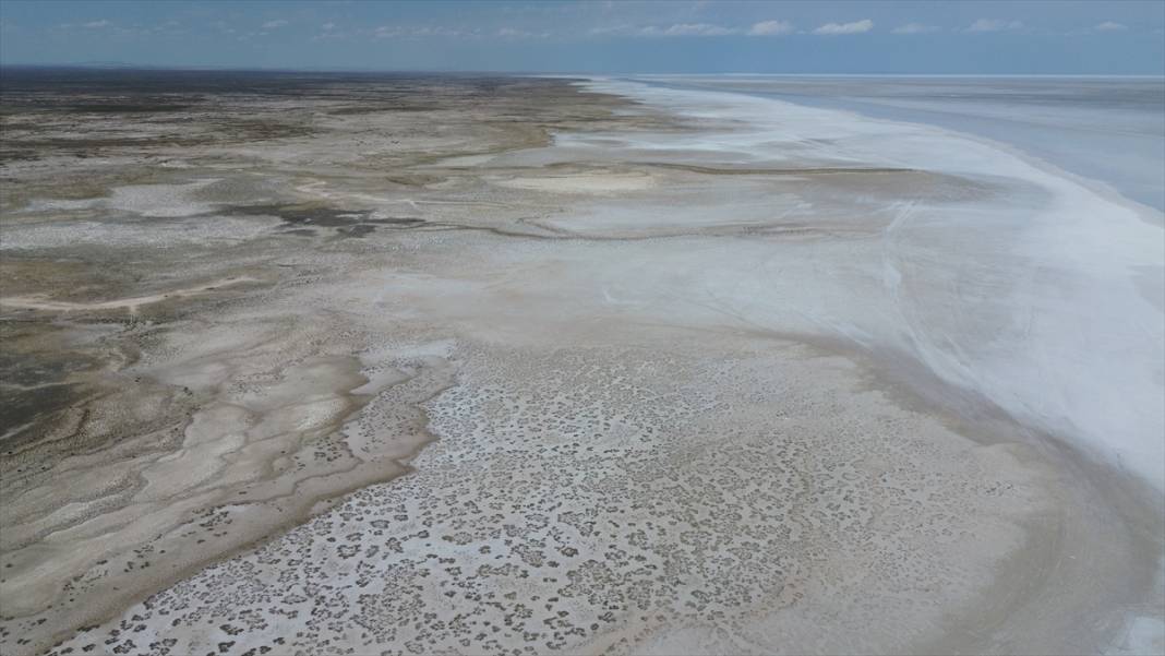 Tuz Gölü'ndeki kuraklık biyolojik çeşitliliği de etkiliyor 3