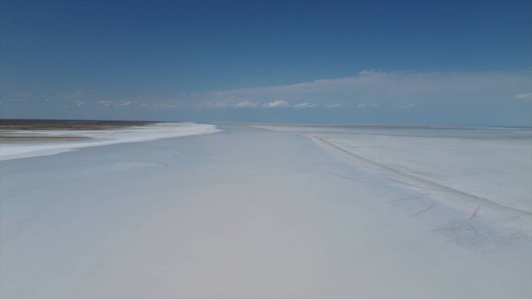 Tuz Gölü'ndeki kuraklık biyolojik çeşitliliği de etkiliyor 7