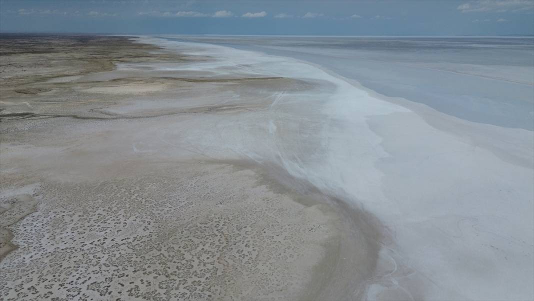 Tuz Gölü'ndeki kuraklık biyolojik çeşitliliği de etkiliyor 9