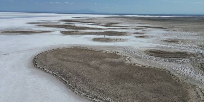 Tuz Gölü'ndeki kuraklık biyolojik çeşitliliği de etkiliyor