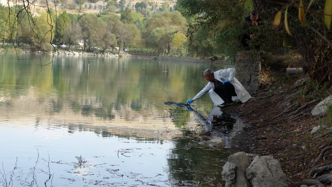 Malatya'da şok! Piknikte, cesetle karşılaştılar 2