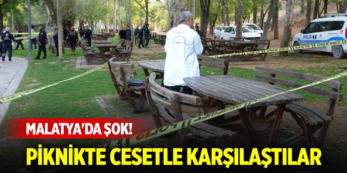 Malatya'da şok! Piknikte, cesetle karşılaştılar