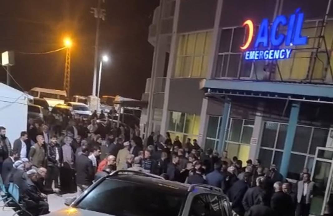 Ağaçtan düşen şahıs hayatını kaybetti 1