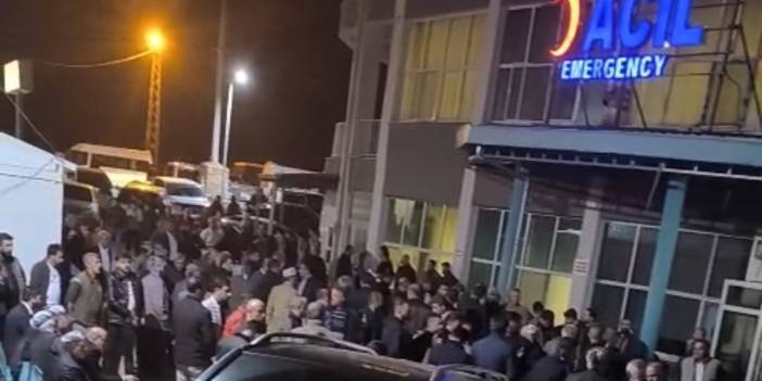 Ağaçtan düşen şahıs hayatını kaybetti