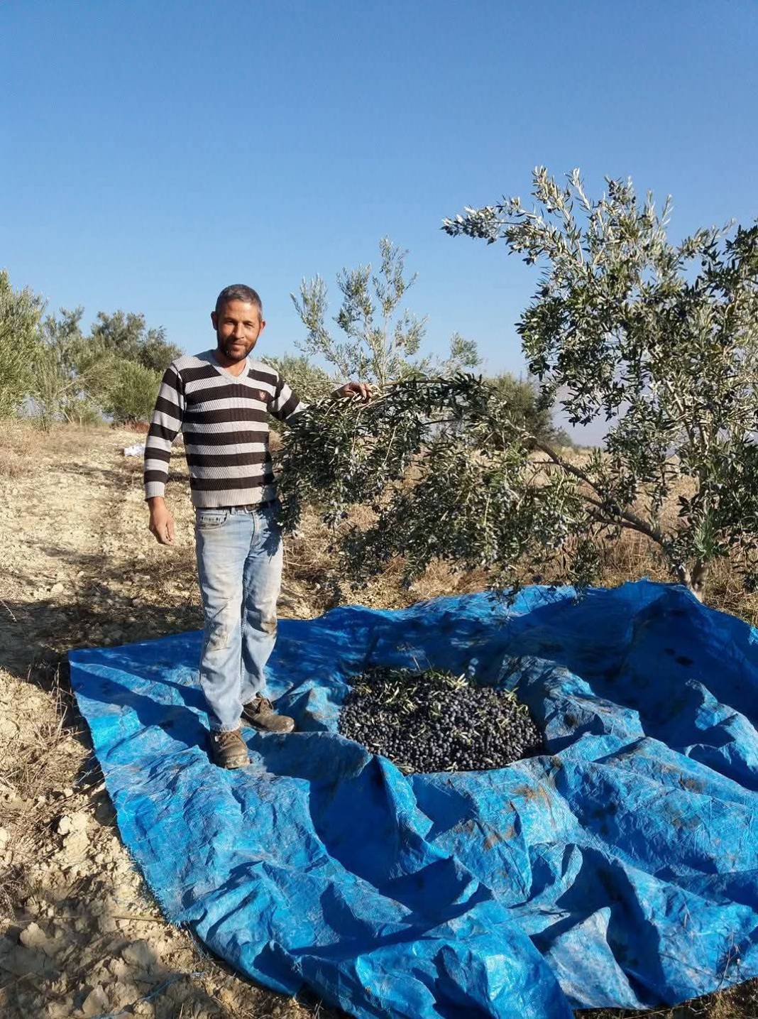 Mersin'de 3 işçiye mezar olan kaza! Kimlikleri belli oldu 8