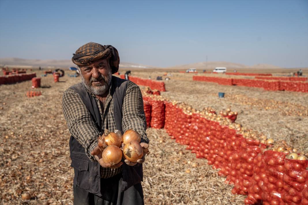 Konya'da tarlalarda yoğun mesai 10