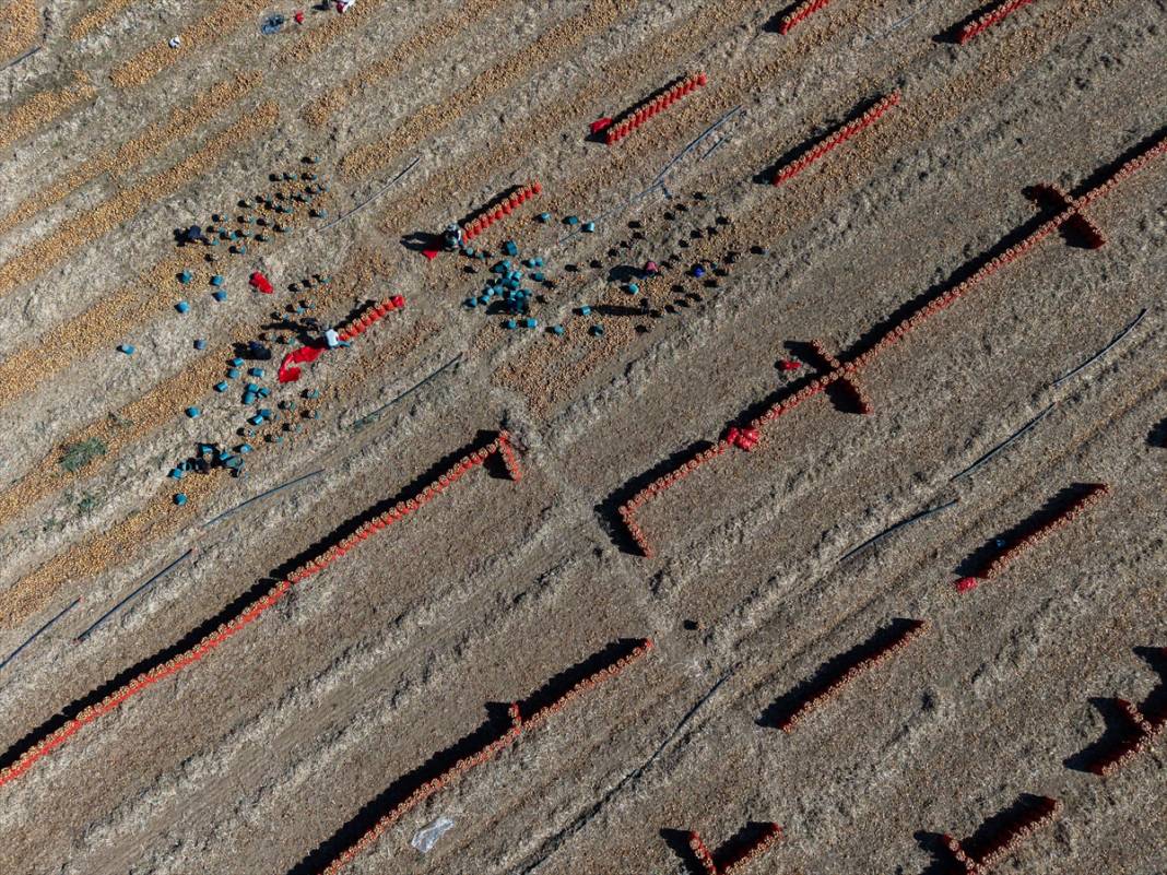 Konya'da tarlalarda yoğun mesai 19