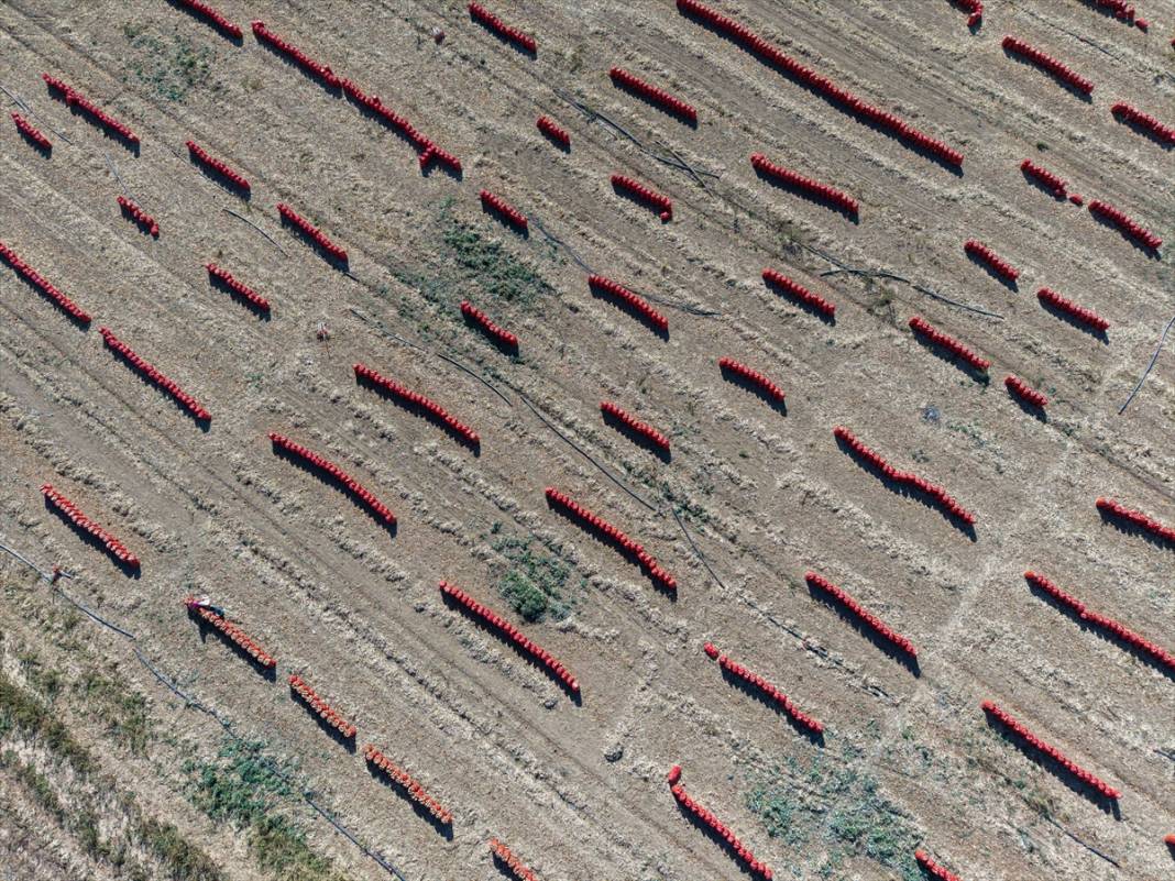 Konya'da tarlalarda yoğun mesai 20