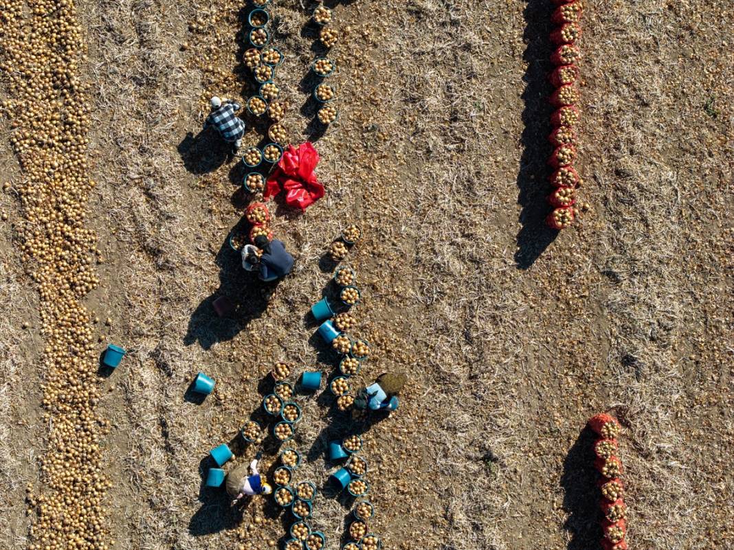 Konya'da tarlalarda yoğun mesai 21