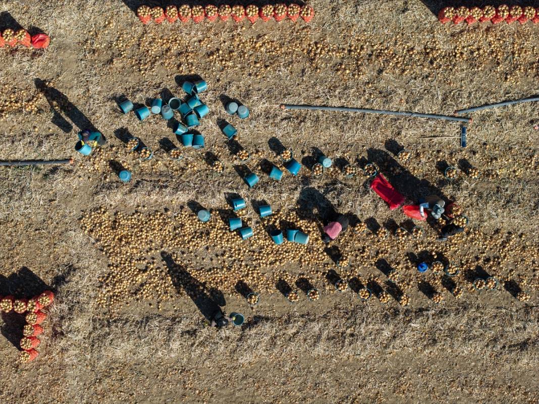 Konya'da tarlalarda yoğun mesai 22