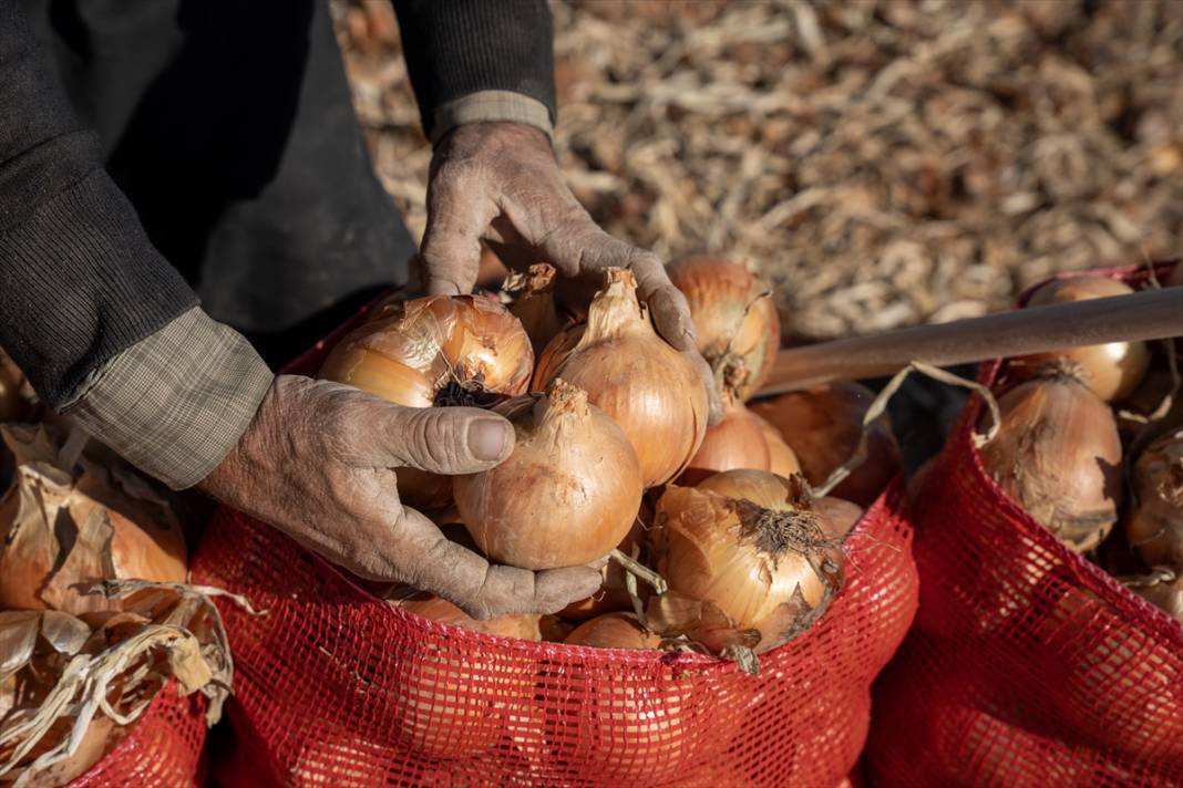 Konya'da tarlalarda yoğun mesai 7