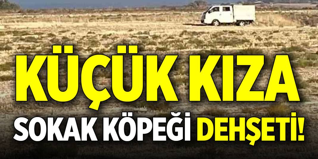 Küçük kıza sokak köpeği dehşeti! 1