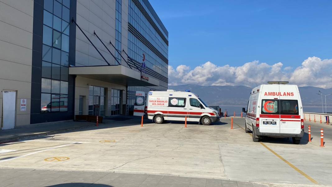 Küçük kıza sokak köpeği dehşeti! 2