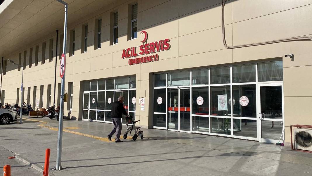 Küçük kıza sokak köpeği dehşeti! 3