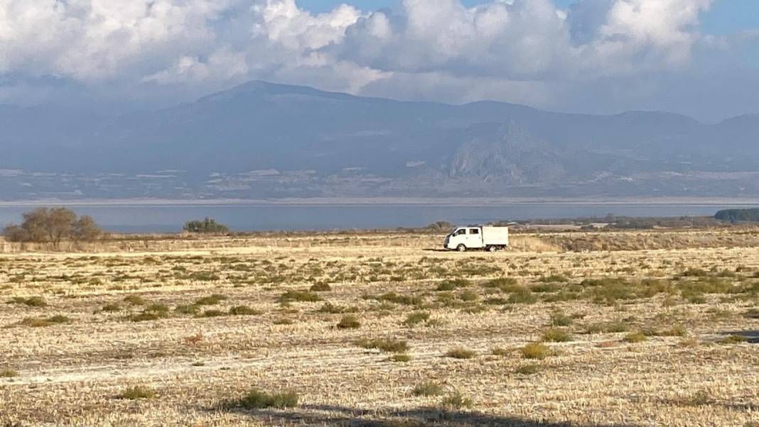 Küçük kıza sokak köpeği dehşeti! 4