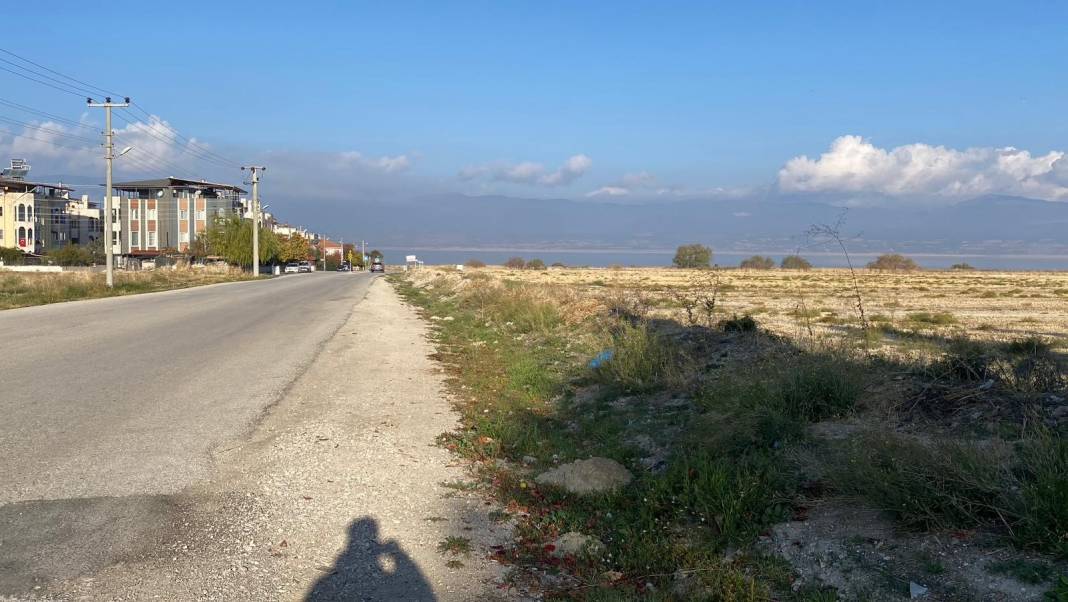 Küçük kıza sokak köpeği dehşeti! 5