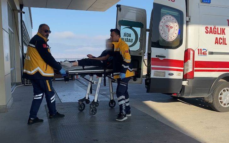 Küçük kıza sokak köpeği dehşeti! 7