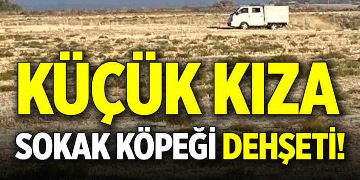 Küçük kıza sokak köpeği dehşeti!