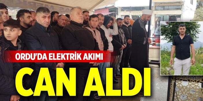 Ordu'da elektrik akımı can aldı