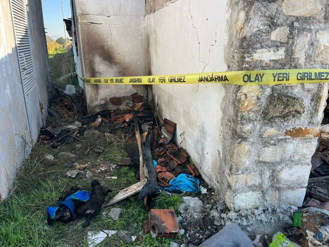 İzmir'deki kadın 30 kedisiyle yanarak can verdi 2