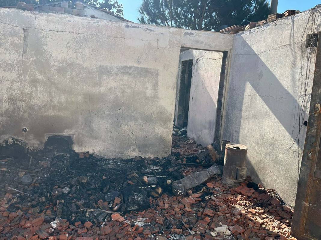 İzmir'deki kadın 30 kedisiyle yanarak can verdi 3