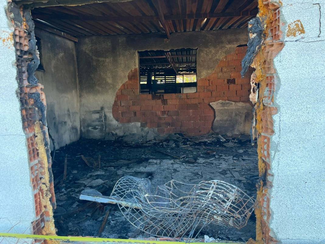 İzmir'deki kadın 30 kedisiyle yanarak can verdi 4