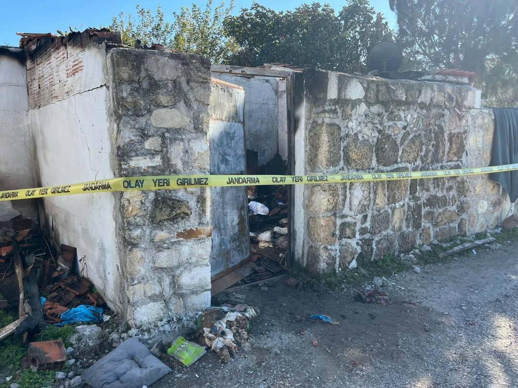 İzmir'deki kadın 30 kedisiyle yanarak can verdi 5