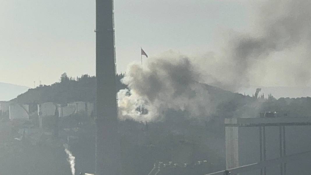 Kocaeli'nde yangın... Alevler arasında can verdi 8