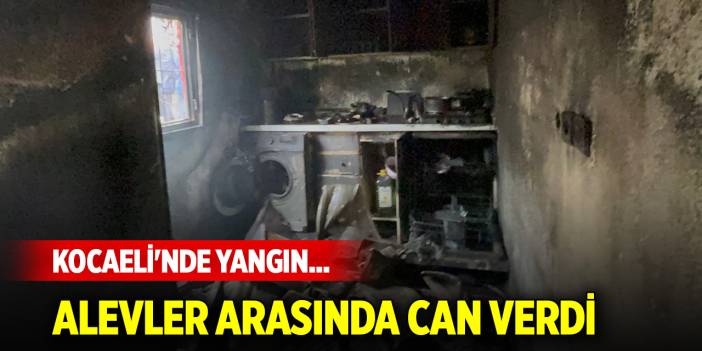 Kocaeli'nde yangın... Alevler arasında can verdi