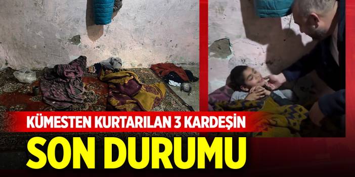 Kümesten kurtarılan 3 kardeşin son durumu