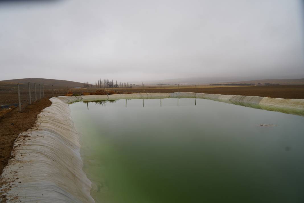 Niğde'de şüpheli ölüm! Bu halde bulundu 4