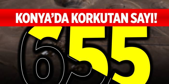 Konya’da korkutan sayı! Hızla artıyor...