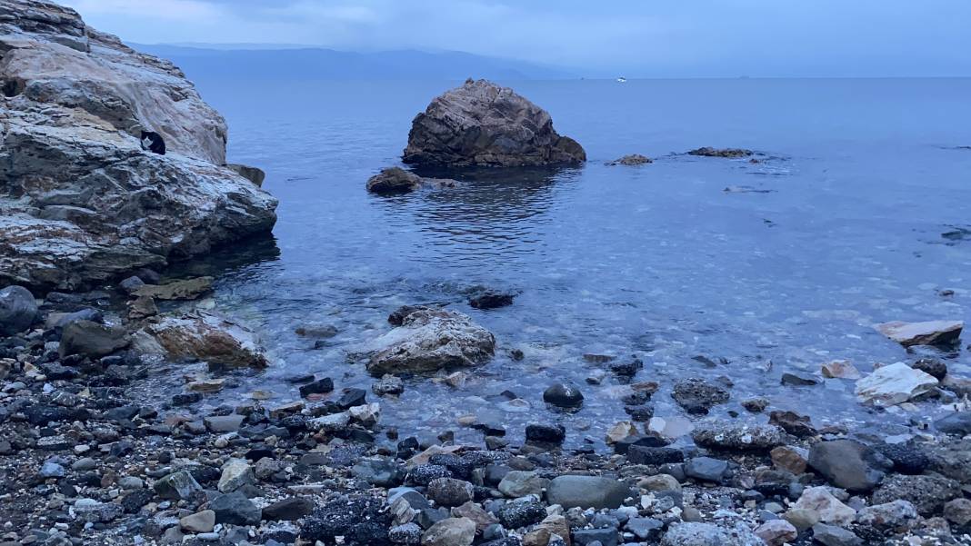 Bursa'da genç isimden acı haber... Cansız bedeni bulundu 4