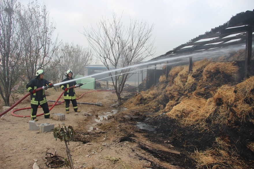 Konya'da çiftlik yangını 3