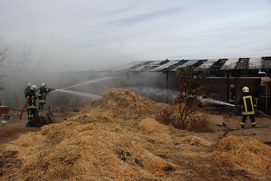 Konya'da çiftlik yangını 5