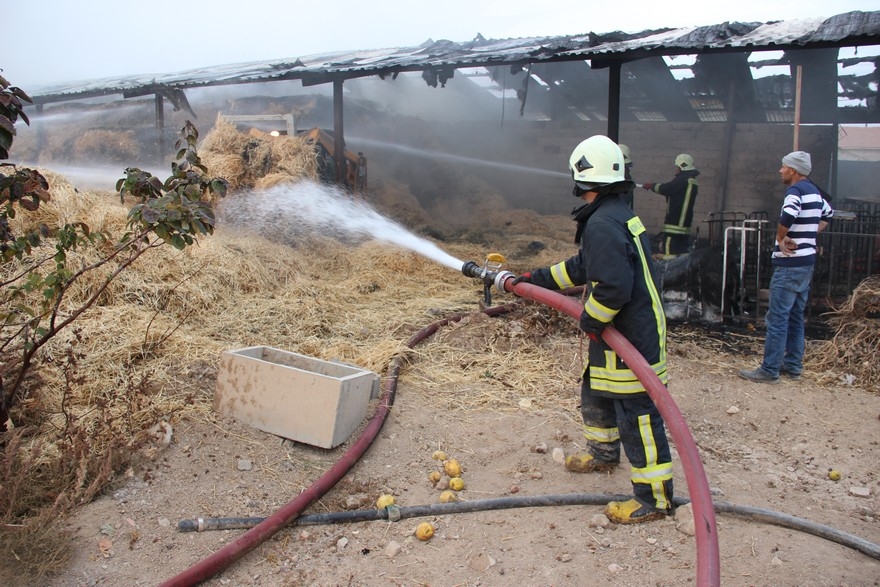 Konya'da çiftlik yangını 6