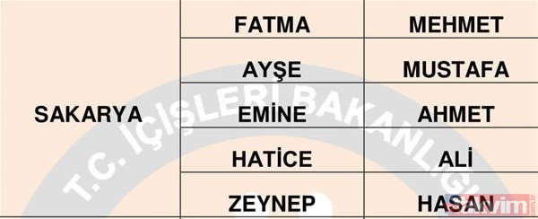 Türkiye'de en çok kullanılan isimler belli oldu 12