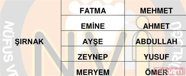 Türkiye'de en çok kullanılan isimler belli oldu 16